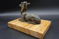 Well Modelled Early 20th Century Continental Bronze Model of a Recumbent Goat (5 of 5) Well Modelled Early 20th Century Continental Bronze Model of a Recumbent Goat (5 of 5)