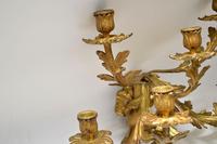Pair of Antique Gilt Bronze Wall Sconce Candelabra (7 of 9) Pair of Antique Gilt Bronze Wall Sconce Candelabra (7 of 9)