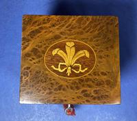Late Victorian Burr Yew Single Tea Caddy (27 of 32) Late Victorian Burr Yew Single Tea Caddy (27 of 32)