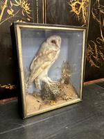 Item Additional Image