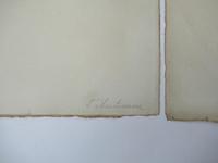 Pair of unusual limited edition French silkscreen prints, c1970, unframed (9 of 10) Pair of unusual limited edition French silkscreen prints, c1970, unframed (9 of 10)