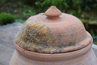 Large Earthenware Lidded Storage Jar (9 of 10) Large Earthenware Lidded Storage Jar (9 of 10)
