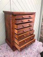 Antique Small Walnut Wellington Collectors Chest (8 of 10) Antique Small Walnut Wellington Collectors Chest (8 of 10)
