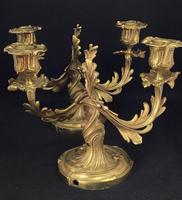 Very Good Pair of Rococo Style Antique Gilt Cast Brass Candelabra (4 of 6) Very Good Pair of Rococo Style Antique Gilt Cast Brass Candelabra (4 of 6)