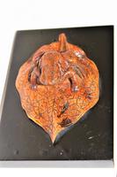 Charming & Well Carved Japanese Boxwood Paper Weight Depicting a Frog (4 of 8) Charming & Well Carved Japanese Boxwood Paper Weight Depicting a Frog (4 of 8)