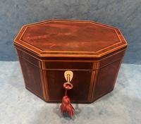 Georgian Hexagonal Mahogany Twin Section Tea Caddy with Inlay (5 of 18) Georgian Hexagonal Mahogany Twin Section Tea Caddy with Inlay (5 of 18)