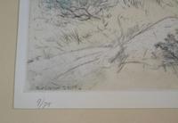 Gun Dogs Hunting G Vernon Stokes Signed Limited Edition Spaniel (4 of 7) Gun Dogs Hunting G Vernon Stokes Signed Limited Edition Spaniel (4 of 7)