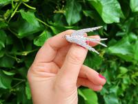 3.34ct Diamond, Ruby & 18ct Yellow Gold Swallow Brooch - Antique c.1910 (2 of 9) 3.34ct Diamond, Ruby & 18ct Yellow Gold Swallow Brooch - Antique c.1910 (2 of 9)