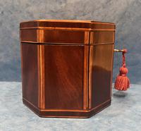 Georgian Hexagonal Mahogany Twin Section Tea Caddy with Inlay (11 of 18) Georgian Hexagonal Mahogany Twin Section Tea Caddy with Inlay (11 of 18)