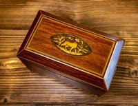 Stunning Partridge Wood Caddy 1820 (2 of 8) Stunning Partridge Wood Caddy 1820 (2 of 8)