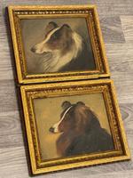 Pair of Scottish 19th Century Oil Paintings Rough Collie Dog Portraits After George Washington Brownlow (9 of 49) Pair of Scottish 19th Century Oil Paintings Rough Collie Dog Portraits After George Washington Brownlow (9 of 49)