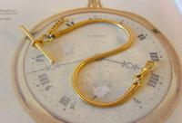 Vintage Pocket Watch Chain 1970s 12ct Gold Plated Snake Link Albert With T Bar (4 of 7) Vintage Pocket Watch Chain 1970s 12ct Gold Plated Snake Link Albert With T Bar (4 of 7)