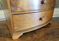 Burr Walnut Miniature Chest of Drawers 20th Century (6 of 6) Burr Walnut Miniature Chest of Drawers 20th Century (6 of 6)