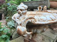 Fine Pair of French Cast-iron Painted Urns (7 of 7) Fine Pair of French Cast-iron Painted Urns (7 of 7)