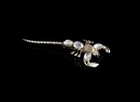 Antique Moonstone Scorpion Brooch, Sterling Silver (2 of 13) Antique Moonstone Scorpion Brooch, Sterling Silver (2 of 13)