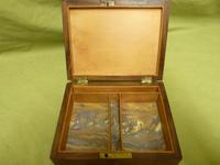 Specimen Wood Trinket Box. C1880 (6 of 12) Specimen Wood Trinket Box. C1880 (6 of 12)