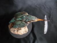 Taxidermy Study of a Kingfisher with Fish (2 of 6) Taxidermy Study of a Kingfisher with Fish (2 of 6)