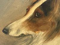 Pair of Scottish 19th Century Oil Paintings Rough Collie Dog Portraits After George Washington Brownlow (12 of 49) Pair of Scottish 19th Century Oil Paintings Rough Collie Dog Portraits After George Washington Brownlow (12 of 49)
