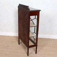 Glazed Bookcase Edwardian Astragal Display Cabinet Mahogany (2 of 11) Glazed Bookcase Edwardian Astragal Display Cabinet Mahogany (2 of 11)