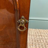Small Victorian Mahogany Collectors Cabinet (6 of 6) Small Victorian Mahogany Collectors Cabinet (6 of 6)
