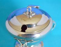 Art Nouveau Silver Mustard (5 of 7) Art Nouveau Silver Mustard (5 of 7)