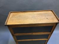 Globe Wernicke Type Bookcase (2 of 10) Globe Wernicke Type Bookcase (2 of 10)