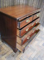 Small Georgian Mahogany Chest of Drawers (6 of 7) Small Georgian Mahogany Chest of Drawers (6 of 7)