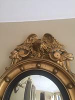 Fine Irish Regency Gold Giltwood Convex Mirror with Eagle Crest (5 of 6) Fine Irish Regency Gold Giltwood Convex Mirror with Eagle Crest (5 of 6)