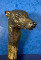 Late Victorian Birch Greyhound Walking Stick (2 of 21) Late Victorian Birch Greyhound Walking Stick (2 of 21)