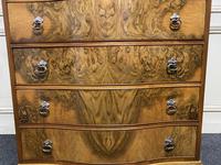 Burr Walnut Serpentine Chest (7 of 9) Burr Walnut Serpentine Chest (7 of 9)