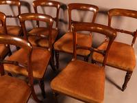 Set of 8 William IV Dining Chairs Mahogany (10 of 12) Set of 8 William IV Dining Chairs Mahogany (10 of 12)