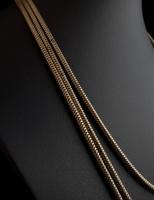 Victorian Snake Link Guard Chain (10 of 12) Victorian Snake Link Guard Chain (10 of 12)
