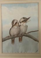 Neville Henry Cayley - Pair of Watercolours of Kookaburras (5 of 7) Neville Henry Cayley - Pair of Watercolours of Kookaburras (5 of 7)