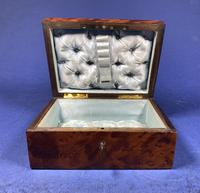 Victorian French Burr Cedar Jewellery Box with Original Interior (4 of 9) Victorian French Burr Cedar Jewellery Box with Original Interior (4 of 9)