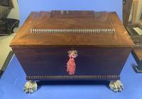 Regency Mahogany Sarcophagus Box (11 of 16) Regency Mahogany Sarcophagus Box (11 of 16)