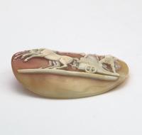 Very Fine Unmounted Carved Shell Angel of Peace Cameo - 4 Horse Chariot 19th Century (6 of 6) Very Fine Unmounted Carved Shell Angel of Peace Cameo - 4 Horse Chariot 19th Century (6 of 6)