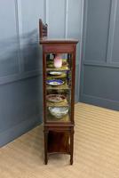 Carved Mahogany Display Cabinet (14 of 14) Carved Mahogany Display Cabinet (14 of 14)
