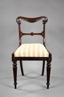 Set of 4 19th Century William IV Rosewood Dining Chairs (3 of 10) Set of 4 19th Century William IV Rosewood Dining Chairs (3 of 10)