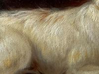 19th Century Oil Painting Sporting "Game Dogs" Signed Robert Cleminson (30 of 48) 19th Century Oil Painting Sporting "Game Dogs" Signed Robert Cleminson (30 of 48)