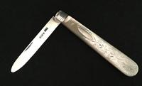 Silver Bladed & Mother of Pearl Fruit Knife (4 of 5) Silver Bladed & Mother of Pearl Fruit Knife (4 of 5)