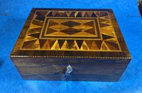 George III Rosewood Tunbridge Ware Box with Specimen Wood Inlay (5 of 15) George III Rosewood Tunbridge Ware Box with Specimen Wood Inlay (5 of 15)