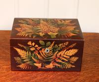 Mauchline Fernware Box (8 of 9) Mauchline Fernware Box (8 of 9)
