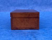 1920s Fully Fitted Mini Homeopathic Box (6 of 13) 1920s Fully Fitted Mini Homeopathic Box (6 of 13)
