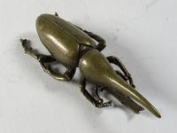 Japanese Bronze Rhinoceros Beetle (3 of 4) Japanese Bronze Rhinoceros Beetle (3 of 4)
