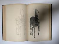 George Stubbs - Anatomy of the Horse - 1899 Edition (6 of 6) George Stubbs - Anatomy of the Horse - 1899 Edition (6 of 6)