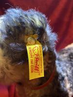 Steiff Classic 1935 Fellow Terrier with Original Tag, Button in Ear & Carrier Bag (6 of 11) Steiff Classic 1935 Fellow Terrier with Original Tag, Button in Ear & Carrier Bag (6 of 11)