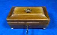 Regency Miniature Sycamore Box. (2 of 14) Regency Miniature Sycamore Box. (2 of 14)