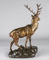 Stunning 19th Century French Bronze Sculpture of Stag, Signed J.E.Masson (10 of 10) Stunning 19th Century French Bronze Sculpture of Stag, Signed J.E.Masson (10 of 10)