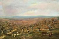 Large Superb Original 19thc West Sussex 'Tilgate Forest' Landscape Oil Painting (12 of 12) Large Superb Original 19thc West Sussex 'Tilgate Forest' Landscape Oil Painting (12 of 12)