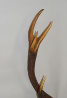 Large Set of Antique Antlers on Shield Hunting Trophy (6 of 6) Large Set of Antique Antlers on Shield Hunting Trophy (6 of 6)